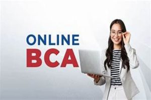 Top Online BCA College in Bangalore: Advantages of Online Learning at Surana Evening College